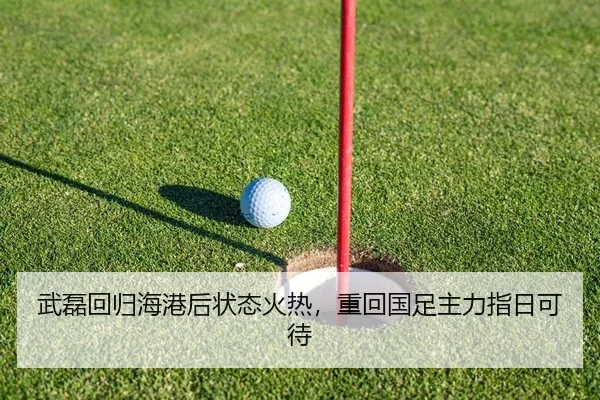 wu-lei-hui-gui-hai-gang-hou-zhuang-tai-huo-re-zhong-hui-guo-zu-zhu-li-zhi-ri-ke-dai-2-583.jpg